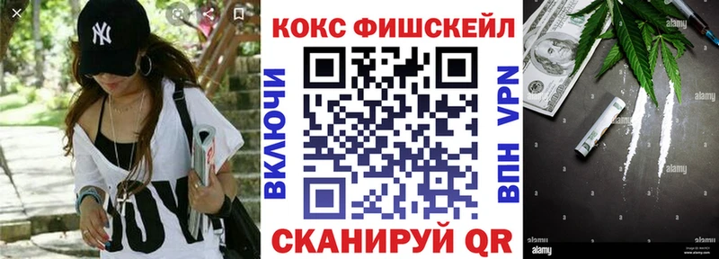 закладки  Электросталь  нарко площадка как зайти  Cocaine FishScale 
