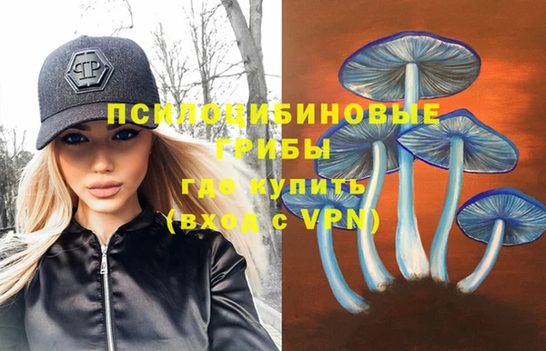 соль курить ск Верхний Тагил