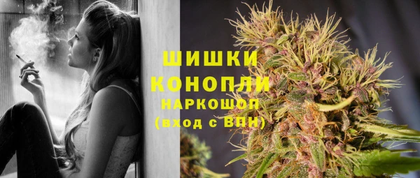 мдпв Волосово