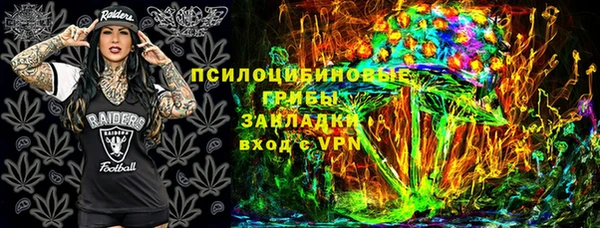 спайс Вяземский
